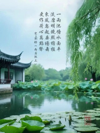 一场微雨来，更觉荷情深……