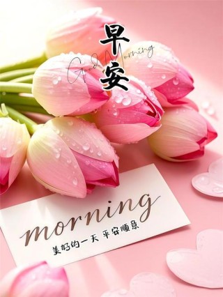 为爱而容忍，为自己而坚守底线，早安