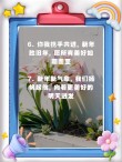 元旦发朋友圈的搞笑说说 元旦超级有趣的文案