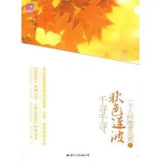 一个人的地老天荒