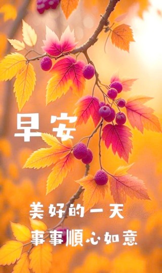 美好