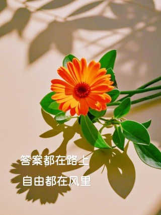 人生路上，心守一份安暖，笑看花开，静赏花落