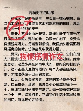 1000字高一抒情作文：浓淡相宜