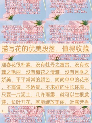30句生活与花的唯美句子，愿我们生活像花儿一样盛开