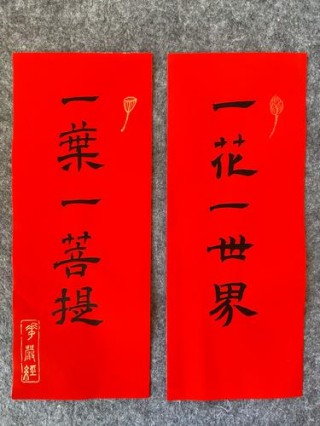 一叶一世界