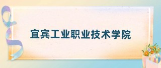 2025宜宾职业技术学院录取分数线是多少「在各省录取最低分」