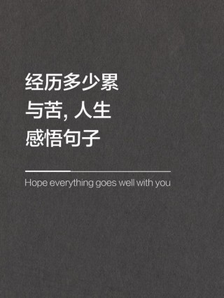人生经历感悟经典语录