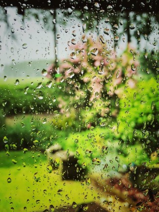 雨