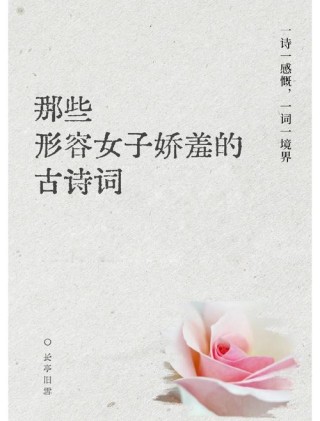 温婉词