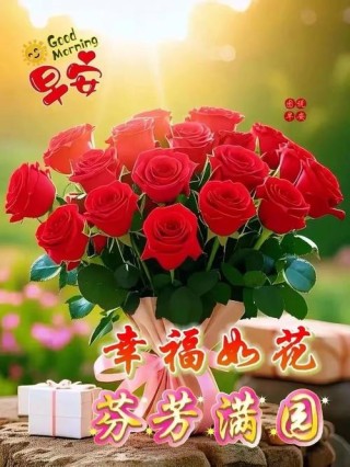 一花一秋韵，一份美好，一生感激，愿您娇艳如花，幸福美轮美奂