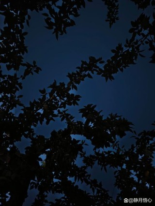 不刻意黑夜