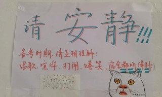 大学生寝室标语火了：辅导员哭笑不得，00后创意无限！