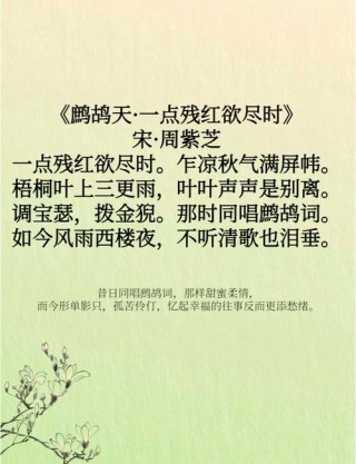 这10首宋词最打动人心，全能背过的是高手