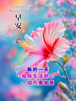 晨风拂面，心情愉悦，早安，愿你的日子如画一般绚丽