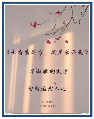 治愈系文艺句子，简短暖心，看一眼就沦陷