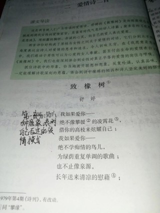 高一学生励志文章：感谢两棵树