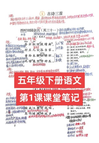 人教五年级下册语文知识点浓缩在这2万字里，高分笔记本