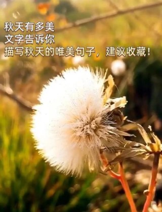 描写秋天的优美段落摘抄