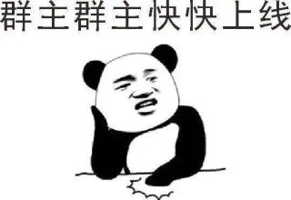 群主