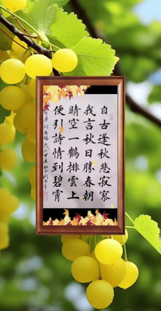 梦遗落在华家池的秋