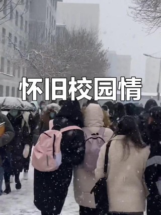 怀念大学里的日子