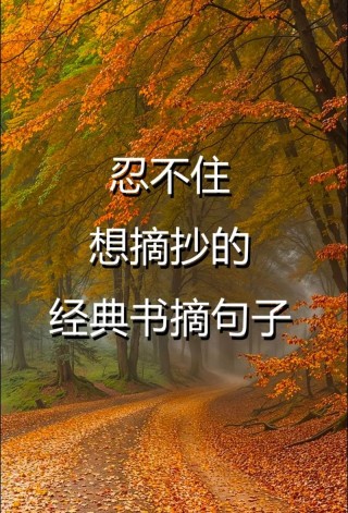 优美句子积累书，优美句子积累宝典