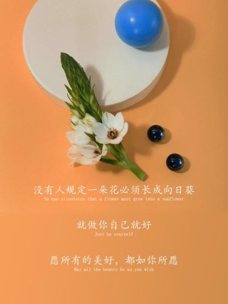 一瞬间释然的句子，句句通透，让你成长