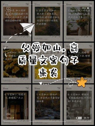 父爱如山母爱如海
愿每一种爱，都不曾被岁月辜负