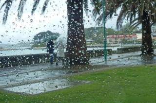 冬雨的思念