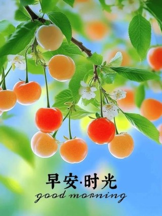 早上好图片大全 最美 漂亮 新版夏天