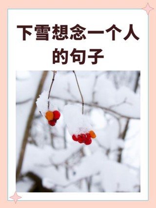 雪中的思念