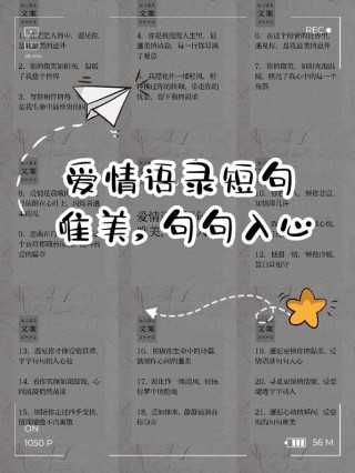 感悟爱情的智慧句子，唯美有哲理，深有感触