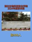 2026湖北生物科技职业学院在湖南各专业招生人数、录取分数线（附：招生计划表）