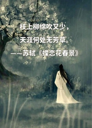 六位诗人最唯美的九句话，美到心醉！