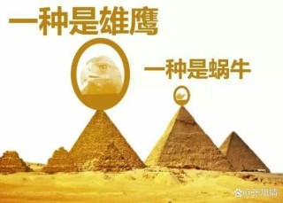 征服金字塔的蜗牛