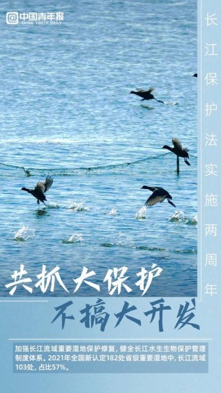 每日一词∣长江保护法 Yangtze River Protection Law
