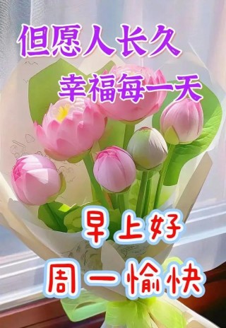 周一早上好，最新10句早晨问候句子，早安美好祝福语