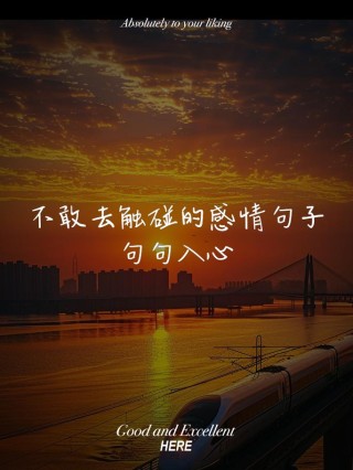 经典情感语录，经典情感语录，深情不及久伴，厚爱无需多言