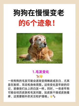 是变老的迹象吧