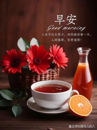 早安心语：不必奢望明天，只要认真过好每个今天