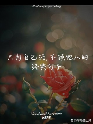 致自己最经典的句子，致自己最经典的句子，勇往直前，无畏无惧。