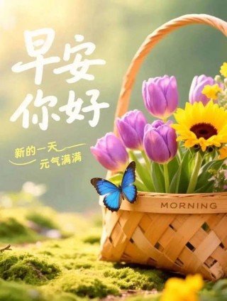 「2023.11.04」早安心语，正能量秒赞激励语录说说句子，问候图片