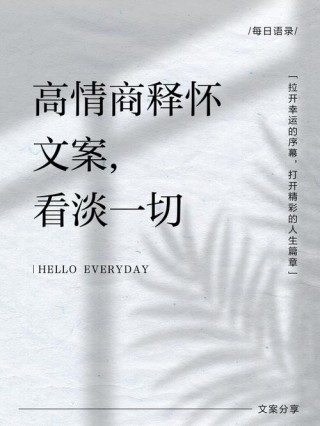 释怀一段感情的文案（情感文案发朋友圈短句）