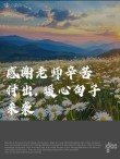 文案 | 感恩你的付出句子