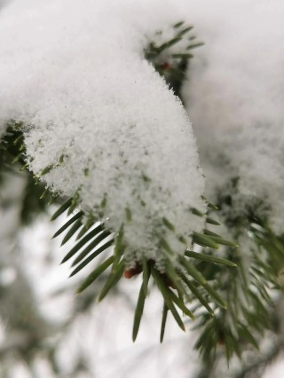 深秋的雪