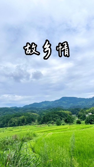 故乡情