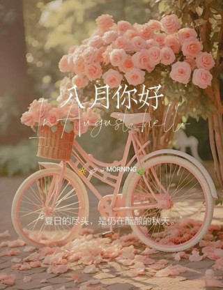 迎接八月，七月再见的精美朋友圈语录句子