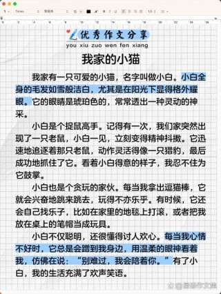 我家小猫咪的趣事