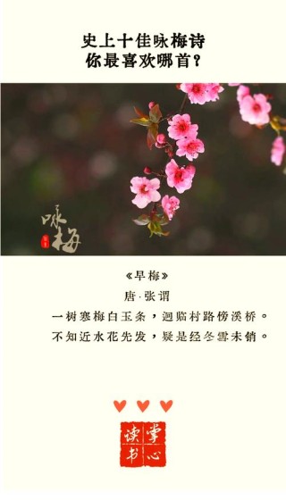 赞美你！冰雪俏佳人——梅