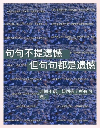 高情商的神级文案：生活或许会有遗憾，希望未来依旧美好